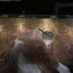 Anna Collins Instagram - Fred stepped on a wasp today so he requested a hard one to take the edge off 💔🍸