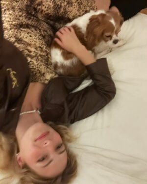 Anna Collins Instagram - goes out * misses dog * comes home