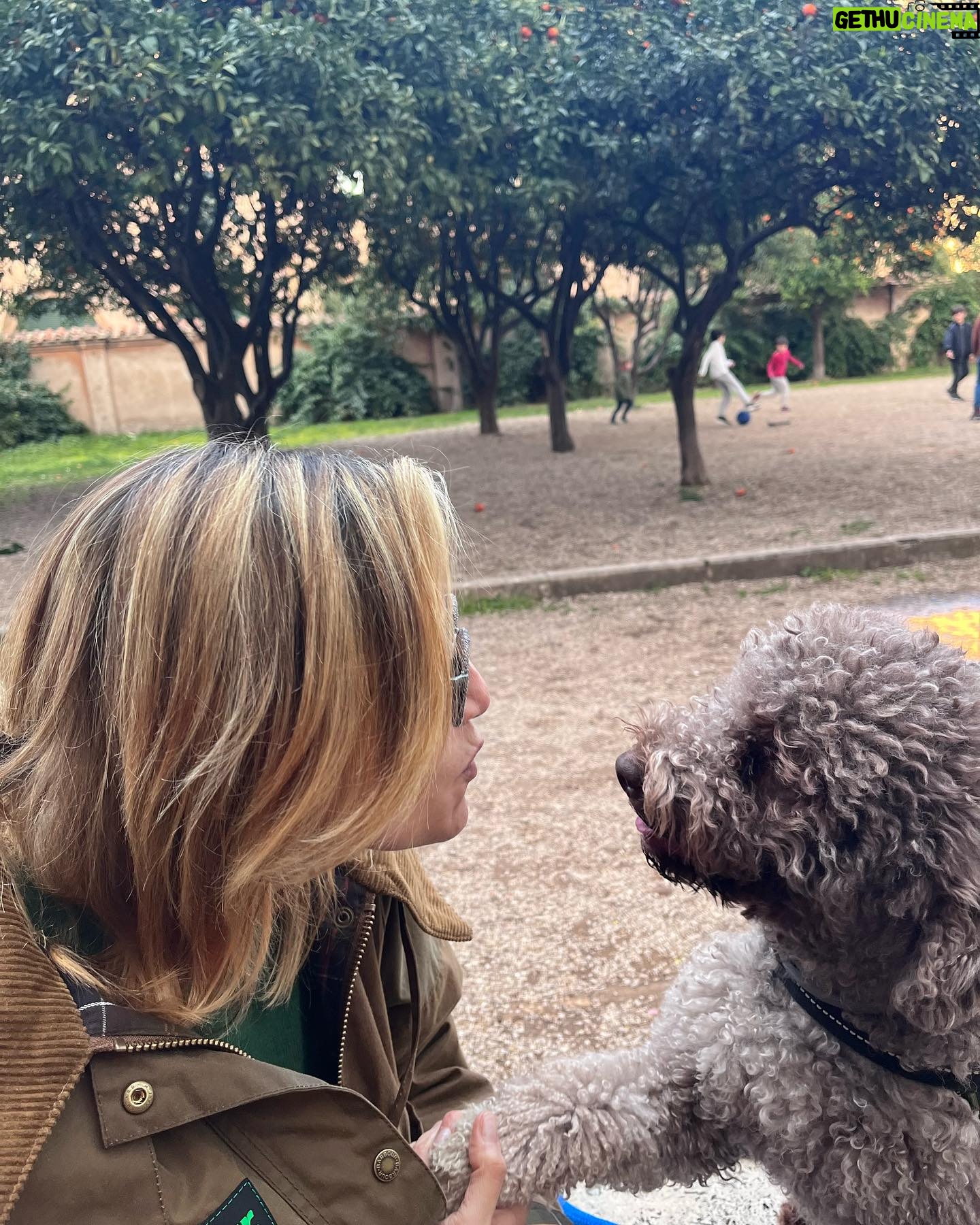Anna Foglietta Instagram - Quante chiacchierate che ci facciamo. . . . #gazza #mydog