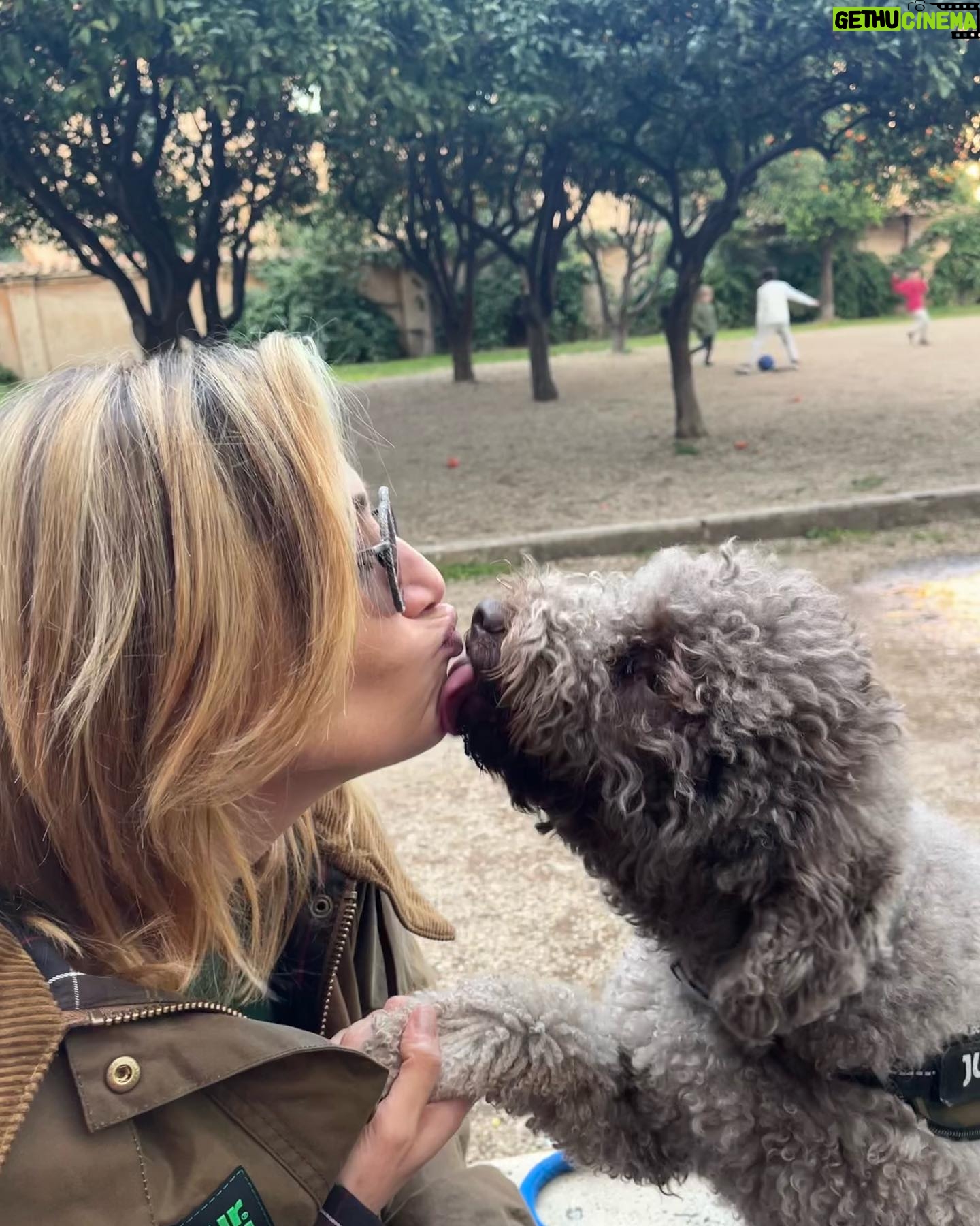 Anna Foglietta Instagram - Quante chiacchierate che ci facciamo. . . . #gazza #mydog