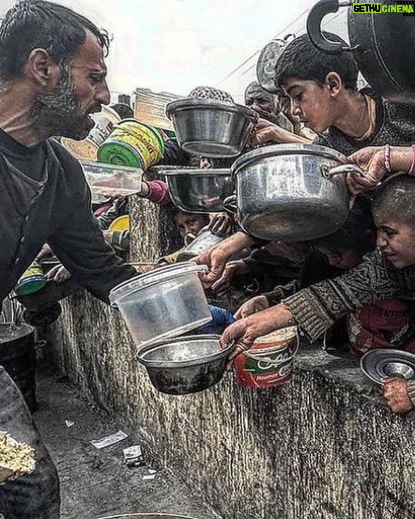 Anna Foglietta Instagram - Centinaia di tir bloccati all’ingresso di Rafah.. tir contenenti cibo, medicinali e materiale sanitario, tutto perfettamente stoccato e pronto per essere destinato ad una popolazione allo stremo…eppure tutto bloccato..tutto fermo.. Bambini, donne e uomini stanno lentamente morendo di fame, con il cibo alle porte.. qualcuno ha giustamente detto che questo è sadismo, ed io non riesco a trovare un termine più corretto. Non solo Israele sta facendo morire i civili palestinesi, ma lo sta facendo con un sadismo perverso.. io non ho davvero più giustificazioni.. prego per la liberazione degli ostaggi, ma non può esserci una contropartita così atroce..tutto questo è orrendamente disumano. . . . #ceasefirenow #stopgenocide