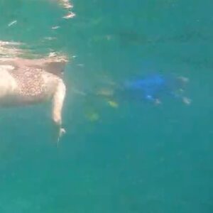 Anna Friel Instagram - Scroll for before and after entering the water! Seriously. One of the best days of our lives so far. We went on a boat trip to swim with the Manta’s and a very rare thing happened… we were greeted by a ginormous whale shark. Nature is glorious and life changing when we become part of its magestic other worldliness. Be brave. Say yes more than you say no and watch the wonders of this magnificent earth, surprise you. Thank you for your guidance @avanimaldives @avani_hotels . Life changing moments. We hope to carry this energy with us throughout our existence. ✨✨✨✨✨❤️