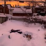 Anna Hopkins Instagram – Childhood snow day vibes!!!!!