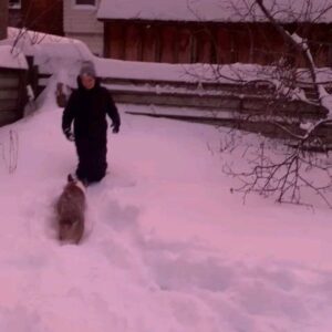 Anna Hopkins Instagram - Childhood snow day vibes!!!!!