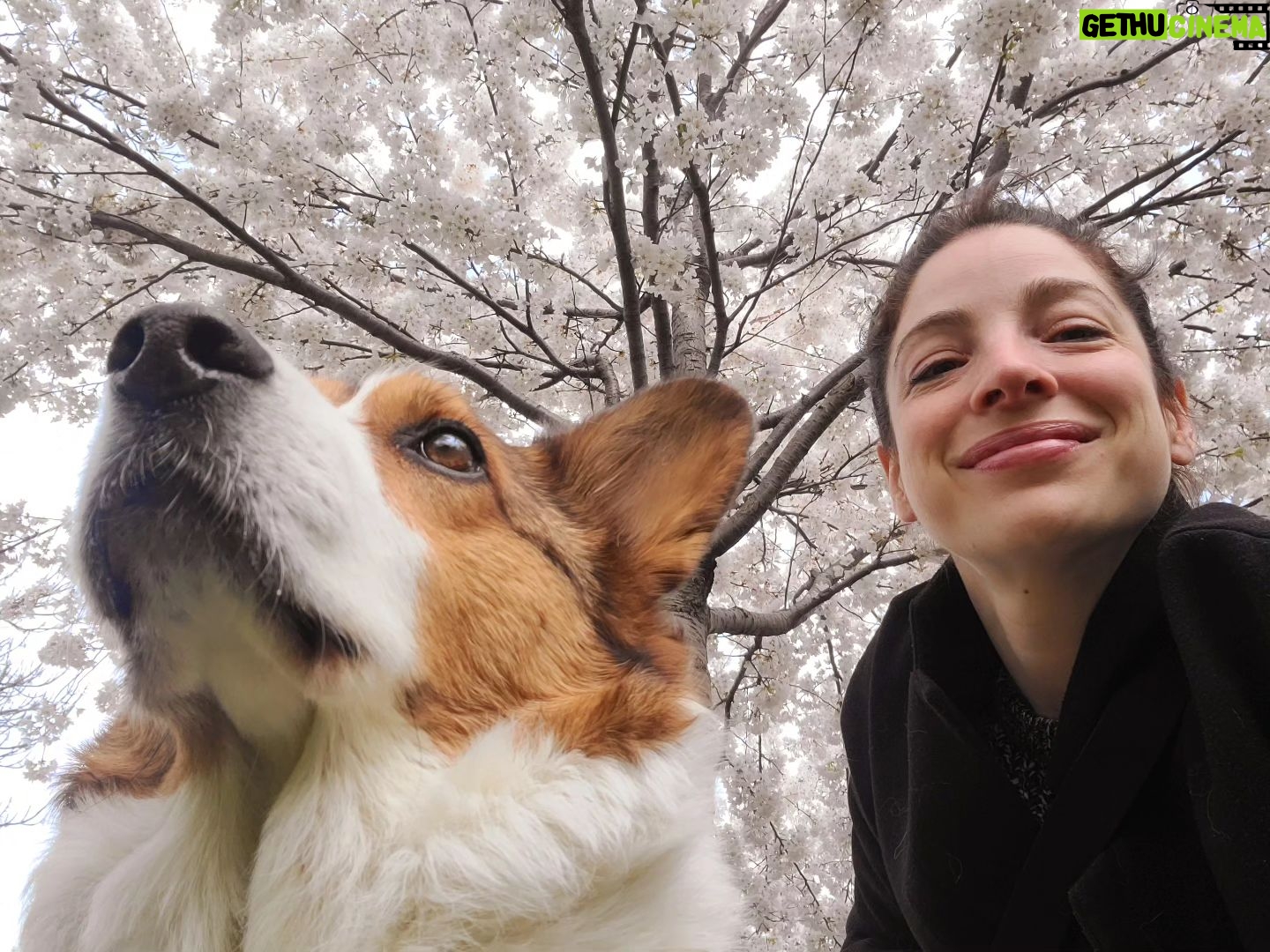 Anna Hopkins Instagram - Enjoying the cherry 🌸 blossoms together.