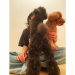 Anna Ishii Instagram – ラジオ「miziroind LIGHTBLUECAFE」

今回は、最近の趣味である編み物についてお話ししてます。
なので、この間編んだ帽子の写真☺︎
緑の帽子と黒の帽子。
5696が大興奮でうまく写真撮らせてくれなかった😂

本日20:00〜FM大阪
明日8:00〜TOKYOFM
