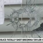 Anna Konkle Instagram – Closed blinds with bullet holes. Police shot without visuals into the apartment of #BreonnaTaylor. Shot. Killed. Her. Over and over again. Not caring where their lethalness landed or whose of these lives they were going to end. A continued brutality, a genocide upon beautiful black lives.

There have been no charges against the officers involved so far. Link for petition in bio.