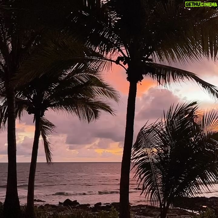 AnnaLynne McCord Instagram - #PuraVida 🇨🇷❤️