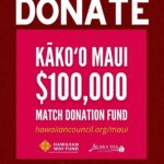 Anna Paquin Instagram – Posted @withregram • @ainamomona Maui needs you ✊🏽

Please make an effort to donate to Maui if possible. 

Follow @kakoo_haleakala for updates! 

—

‘Āina Momona is standing up this fundraiser to support our Maui community. All the funds raised will be given to the Hawaii Community Foundation Maui County Strong Fund https://www.hawaiicommunityfoundation.org/maui-strong to support disaster relief on Maui.

We are using this ActBlue platform because giving is quick and easy, and the funds come to us immediately, allowing us to get these funds to families in need faster. An accounting of all the monies raised through this fundraiser and our distribution to HCF will be posted to our website. 

Mahalo for your support.

—
Correction on slide 4: Fundraiser is hosted by @ilimanator not @thekuproject 

#mauihawaii #wildfires #mauilife #mauinokaoi #ainamomona #aina