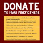 Anna Paquin Instagram – Posted @withregram • @ainamomona Maui needs you ✊🏽

Please make an effort to donate to Maui if possible. 

Follow @kakoo_haleakala for updates! 

—

‘Āina Momona is standing up this fundraiser to support our Maui community. All the funds raised will be given to the Hawaii Community Foundation Maui County Strong Fund https://www.hawaiicommunityfoundation.org/maui-strong to support disaster relief on Maui.

We are using this ActBlue platform because giving is quick and easy, and the funds come to us immediately, allowing us to get these funds to families in need faster. An accounting of all the monies raised through this fundraiser and our distribution to HCF will be posted to our website. 

Mahalo for your support.

—
Correction on slide 4: Fundraiser is hosted by @ilimanator not @thekuproject 

#mauihawaii #wildfires #mauilife #mauinokaoi #ainamomona #aina