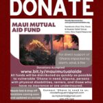 Anna Paquin Instagram - Posted @withregram • @ainamomona Maui needs you ✊🏽 Please make an effort to donate to Maui if possible. Follow @kakoo_haleakala for updates! — ‘Āina Momona is standing up this fundraiser to support our Maui community. All the funds raised will be given to the Hawaii Community Foundation Maui County Strong Fund https://www.hawaiicommunityfoundation.org/maui-strong to support disaster relief on Maui. We are using this ActBlue platform because giving is quick and easy, and the funds come to us immediately, allowing us to get these funds to families in need faster. An accounting of all the monies raised through this fundraiser and our distribution to HCF will be posted to our website. Mahalo for your support. — Correction on slide 4: Fundraiser is hosted by @ilimanator not @thekuproject #mauihawaii #wildfires #mauilife #mauinokaoi #ainamomona #aina