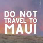 Anna Paquin Instagram - Posted @withregram • @ainamomona Maui is not the place to have your vacation right now. DO NOT TRAVEL TO MAUI. Do not convince yourself that your presence is needed on an island that is suffering this deeply. Mahalo to everyone who has donated and shown aloha to the community in this time of need. Please check our Instagram Stories for updates and follow @kakoo_haleakala @mauirapidresponse and @hawaiinewsnow for more! — ‘Āina Momona is standing up this fundraiser to support our Maui community. All the funds raised will be given to the Hawaii Community Foundation Maui County Strong Fund https://www.hawaiicommunityfoundation.org/maui-strong to support disaster relief on Maui. We are using this ActBlue platform because giving is quick and easy, and the funds come to us immediately, allowing us to get these funds to families in need faster. An accounting of all the monies raised through this fundraiser and our distribution to HCF will be posted to our website. Mahalo for your support. #mauihawaii #wildfires #mauilife #mauinokaoi #ainamomona #aina #maui