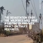Anna Paquin Instagram - Posted @withregram • @ainamomona Maui is not the place to have your vacation right now. DO NOT TRAVEL TO MAUI. Do not convince yourself that your presence is needed on an island that is suffering this deeply. Mahalo to everyone who has donated and shown aloha to the community in this time of need. Please check our Instagram Stories for updates and follow @kakoo_haleakala @mauirapidresponse and @hawaiinewsnow for more! — ‘Āina Momona is standing up this fundraiser to support our Maui community. All the funds raised will be given to the Hawaii Community Foundation Maui County Strong Fund https://www.hawaiicommunityfoundation.org/maui-strong to support disaster relief on Maui. We are using this ActBlue platform because giving is quick and easy, and the funds come to us immediately, allowing us to get these funds to families in need faster. An accounting of all the monies raised through this fundraiser and our distribution to HCF will be posted to our website. Mahalo for your support. #mauihawaii #wildfires #mauilife #mauinokaoi #ainamomona #aina #maui