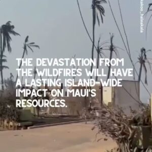 Anna Paquin Instagram - Posted @withregram • @ainamomona Maui is not the place to have your vacation right now. 

DO NOT TRAVEL TO MAUI.

Do not convince yourself that your presence is needed on an island that is suffering this deeply. 

Mahalo to everyone who has donated and shown aloha to the community in this time of need. 

Please check our Instagram Stories for updates and 
follow @kakoo_haleakala  @mauirapidresponse and @hawaiinewsnow for more! 

—

‘Āina Momona is standing up this fundraiser to support our Maui community. All the funds raised will be given to the Hawaii Community Foundation Maui County Strong Fund https://www.hawaiicommunityfoundation.org/maui-strong to support disaster relief on Maui.

We are using this ActBlue platform because giving is quick and easy, and the funds come to us immediately, allowing us to get these funds to families in need faster. An accounting of all the monies raised through this fundraiser and our distribution to HCF will be posted to our website. 

Mahalo for your support.

#mauihawaii #wildfires #mauilife #mauinokaoi #ainamomona #aina #maui