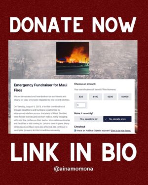Anna Paquin Instagram - Posted @withregram • @ainamomona Maui is not the place to have your vacation right now. 

DO NOT TRAVEL TO MAUI.

Do not convince yourself that your presence is needed on an island that is suffering this deeply. 

Mahalo to everyone who has donated and shown aloha to the community in this time of need. 

Please check our Instagram Stories for updates and 
follow @kakoo_haleakala  @mauirapidresponse and @hawaiinewsnow for more! 

—

‘Āina Momona is standing up this fundraiser to support our Maui community. All the funds raised will be given to the Hawaii Community Foundation Maui County Strong Fund https://www.hawaiicommunityfoundation.org/maui-strong to support disaster relief on Maui.

We are using this ActBlue platform because giving is quick and easy, and the funds come to us immediately, allowing us to get these funds to families in need faster. An accounting of all the monies raised through this fundraiser and our distribution to HCF will be posted to our website. 

Mahalo for your support.

#mauihawaii #wildfires #mauilife #mauinokaoi #ainamomona #aina #maui