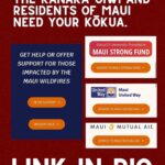 Anna Paquin Instagram - Posted @withregram • @ainamomona Maui is not the place to have your vacation right now. DO NOT TRAVEL TO MAUI. Do not convince yourself that your presence is needed on an island that is suffering this deeply. Mahalo to everyone who has donated and shown aloha to the community in this time of need. Please check our Instagram Stories for updates and follow @kakoo_haleakala @mauirapidresponse and @hawaiinewsnow for more! — ‘Āina Momona is standing up this fundraiser to support our Maui community. All the funds raised will be given to the Hawaii Community Foundation Maui County Strong Fund https://www.hawaiicommunityfoundation.org/maui-strong to support disaster relief on Maui. We are using this ActBlue platform because giving is quick and easy, and the funds come to us immediately, allowing us to get these funds to families in need faster. An accounting of all the monies raised through this fundraiser and our distribution to HCF will be posted to our website. Mahalo for your support. #mauihawaii #wildfires #mauilife #mauinokaoi #ainamomona #aina #maui