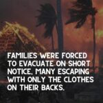 Anna Paquin Instagram - Posted @withregram • @ainamomona We are devastated and heartbroken for our friends and ‘ohana on Maui who been impacted by the recent wildfires. On Tuesday, August 8, 2023, a terrible combination of drought conditions and hurricane weather led to widespread wildfires across the Island of Maui. Families were forced to evacuate on short notice, many escaping with only the clothes on their backs. Information on injuries and fatalities is still coming in. Lahaina town is gone. Many other places on Maui were also affected. We continue to send pule (prayers) to this incredible community. ‘Āina Momona is standing up this fundraiser to support our Maui community. All the funds raised will be given to the Hawaii Community Foundation Maui County Strong Fund https://www.hawaiicommunityfoundation.org/maui-strong to support disaster relief on Maui. We are using this ActBlue platform because giving is quick and easy, and the funds come to us immediately, allowing us to get these funds to families in need faster. An accounting of all the monies raised through this fundraiser and our distribution to HCF will be posted to our website. DONATION LINK IN BIO! Mahalo for your support. VC: @kakoo_haleakala @hawaiinewsnow ——————————————————————————— ***Update for slide 5: As of 8/9 - 36 people have died ***Correction on slide 9: Fundraiser is hosted by @ilimanator not @thekuproject ——————————————————————————— #mauihawaii #hawaiinews #hawaiinewsnow #ainamomona