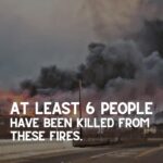 Anna Paquin Instagram - Posted @withregram • @ainamomona We are devastated and heartbroken for our friends and ‘ohana on Maui who been impacted by the recent wildfires. On Tuesday, August 8, 2023, a terrible combination of drought conditions and hurricane weather led to widespread wildfires across the Island of Maui. Families were forced to evacuate on short notice, many escaping with only the clothes on their backs. Information on injuries and fatalities is still coming in. Lahaina town is gone. Many other places on Maui were also affected. We continue to send pule (prayers) to this incredible community. ‘Āina Momona is standing up this fundraiser to support our Maui community. All the funds raised will be given to the Hawaii Community Foundation Maui County Strong Fund https://www.hawaiicommunityfoundation.org/maui-strong to support disaster relief on Maui. We are using this ActBlue platform because giving is quick and easy, and the funds come to us immediately, allowing us to get these funds to families in need faster. An accounting of all the monies raised through this fundraiser and our distribution to HCF will be posted to our website. DONATION LINK IN BIO! Mahalo for your support. VC: @kakoo_haleakala @hawaiinewsnow ——————————————————————————— ***Update for slide 5: As of 8/9 - 36 people have died ***Correction on slide 9: Fundraiser is hosted by @ilimanator not @thekuproject ——————————————————————————— #mauihawaii #hawaiinews #hawaiinewsnow #ainamomona