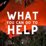 Anna Paquin Instagram - Posted @withregram • @ainamomona We are devastated and heartbroken for our friends and ‘ohana on Maui who been impacted by the recent wildfires. On Tuesday, August 8, 2023, a terrible combination of drought conditions and hurricane weather led to widespread wildfires across the Island of Maui. Families were forced to evacuate on short notice, many escaping with only the clothes on their backs. Information on injuries and fatalities is still coming in. Lahaina town is gone. Many other places on Maui were also affected. We continue to send pule (prayers) to this incredible community. ‘Āina Momona is standing up this fundraiser to support our Maui community. All the funds raised will be given to the Hawaii Community Foundation Maui County Strong Fund https://www.hawaiicommunityfoundation.org/maui-strong to support disaster relief on Maui. We are using this ActBlue platform because giving is quick and easy, and the funds come to us immediately, allowing us to get these funds to families in need faster. An accounting of all the monies raised through this fundraiser and our distribution to HCF will be posted to our website. DONATION LINK IN BIO! Mahalo for your support. VC: @kakoo_haleakala @hawaiinewsnow ——————————————————————————— ***Update for slide 5: As of 8/9 - 36 people have died ***Correction on slide 9: Fundraiser is hosted by @ilimanator not @thekuproject ——————————————————————————— #mauihawaii #hawaiinews #hawaiinewsnow #ainamomona