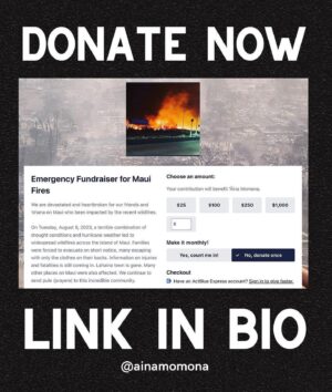 Anna Paquin Instagram - Posted @withregram • @ainamomona We are devastated and heartbroken for our friends and ‘ohana on Maui who been impacted by the recent wildfires.

On Tuesday, August 8, 2023, a terrible combination of drought conditions and hurricane weather led to widespread wildfires across the Island of Maui. Families were forced to evacuate on short notice, many escaping with only the clothes on their backs. Information on injuries and fatalities is still coming in. Lahaina town is gone. Many other places on Maui were also affected. We continue to send pule (prayers) to this incredible community.

‘Āina Momona is standing up this fundraiser to support our Maui community. All the funds raised will be given to the Hawaii Community Foundation Maui County Strong Fund https://www.hawaiicommunityfoundation.org/maui-strong to support disaster relief on Maui.

We are using this ActBlue platform because giving is quick and easy, and the funds come to us immediately, allowing us to get these funds to families in need faster. An accounting of all the monies raised through this fundraiser and our distribution to HCF will be posted to our website. 

DONATION LINK IN BIO!

Mahalo for your support.

VC: @kakoo_haleakala @hawaiinewsnow 

———————————————————————————
***Update for slide 5: As of 8/9 - 36 people have died

***Correction on slide 9: Fundraiser is hosted by @ilimanator not @thekuproject 
———————————————————————————

#mauihawaii #hawaiinews #hawaiinewsnow #ainamomona