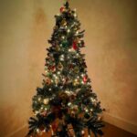 Anna Paquin Instagram - Yeah, I know it’s February. But it makes me happy. AND…. @stephenmoyer is away on a job so it stays till he gets home or I get sick of it 😝 (and folks who thought it was funny last year when he posted pics taking down the tree WAY after Christmas …. Yeah….. that’s a me thing)