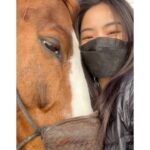 Anna Sawai Instagram - My favorite castmate from the set of Shogun♥️ The crew would joke that anytime I went missing, they’d look for the horses or crafty (where I’d be getting apples for the horses). Wasn’t really a joke though. A big thank you to the Jamie and his team for everything they taught me and always letting me come hang out. I’ll miss you Deucie poo🤎 とても懐っこくて、自分の紐を解いちゃう頭の良さを持ちながら、公園で遠くに人が見えたらびっくりして動かなくなっちゃう面白い性格のドゥース。 いっぱい幸せ分けてくれてありがとう。私のこと忘れないでね🥹
