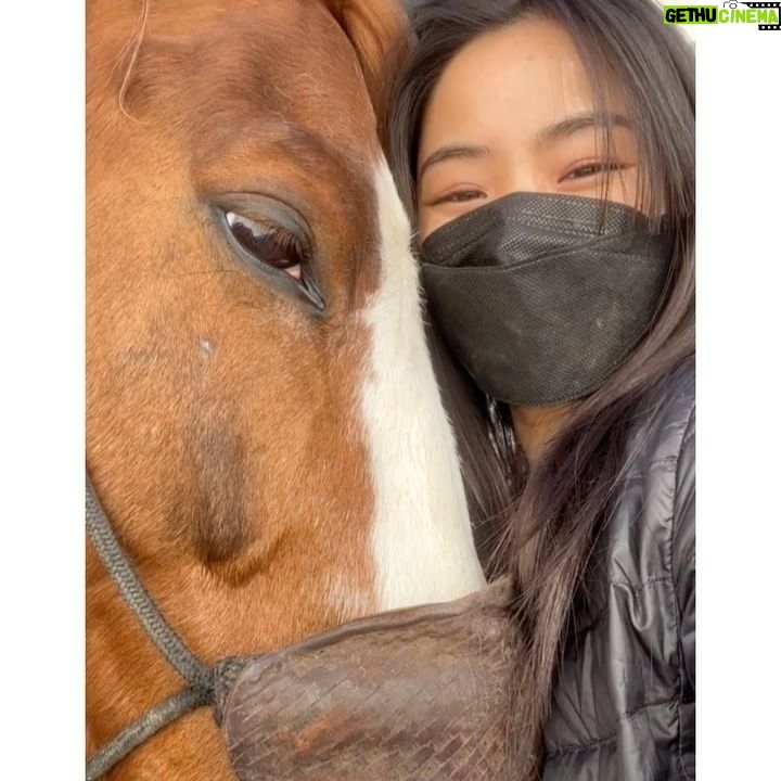 Anna Sawai Instagram - My favorite castmate from the set of Shogun♥️ The crew would joke that anytime I went missing, they’d look for the horses or crafty (where I’d be getting apples for the horses). Wasn’t really a joke though. A big thank you to the Jamie and his team for everything they taught me and always letting me come hang out. I’ll miss you Deucie poo🤎 とても懐っこくて、自分の紐を解いちゃう頭の良さを持ちながら、公園で遠くに人が見えたらびっくりして動かなくなっちゃう面白い性格のドゥース。 いっぱい幸せ分けてくれてありがとう。私のこと忘れないでね🥹