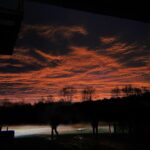 Anna Sawai Instagram - A beautified version of recent days, from my pov 2つ目はドゥース君がゴロンしたあとに飛び跳ねて遊んでる様子🤎 6つ目はちょっぴりビビりなレイちゃんが私のももに顎のせてくれたとき🥲