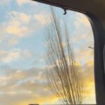 Anna Sawai Instagram - A beautified version of recent days, from my pov 2つ目はドゥース君がゴロンしたあとに飛び跳ねて遊んでる様子🤎 6つ目はちょっぴりビビりなレイちゃんが私のももに顎のせてくれたとき🥲