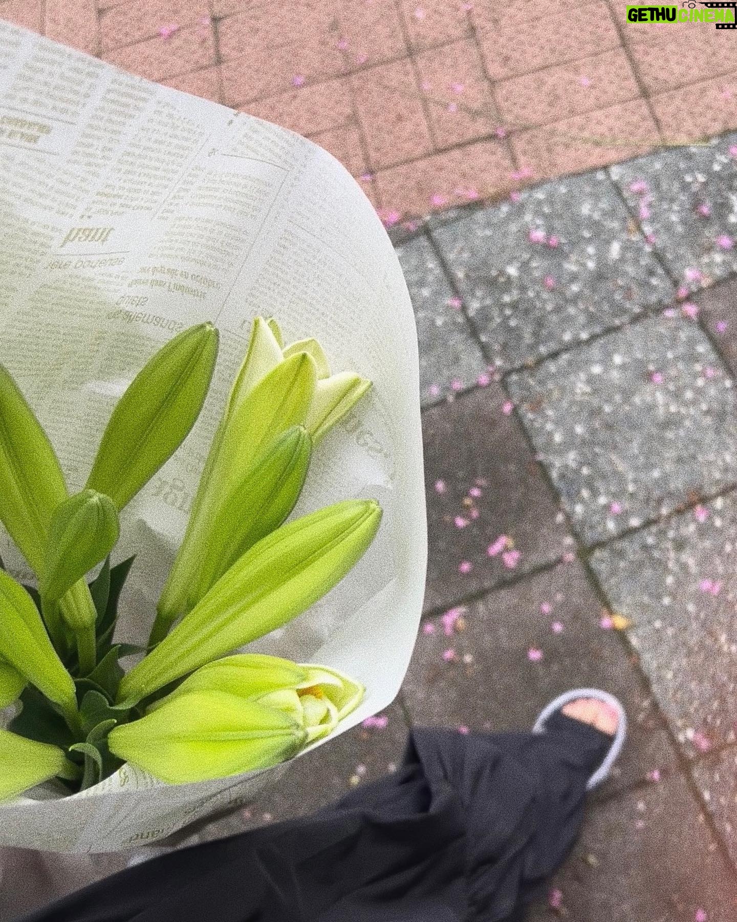 Anna Sawai Instagram - ππ»π²π½ππππ πΌπΏ