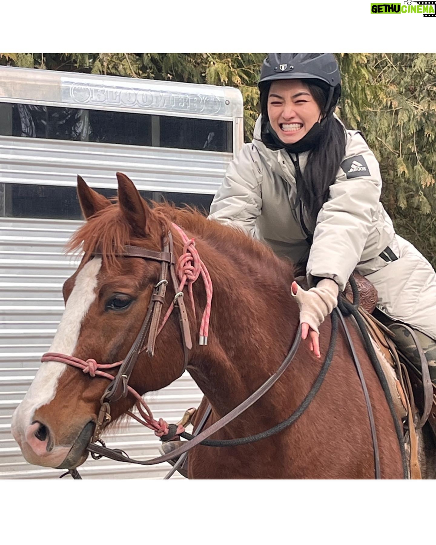 Anna Sawai Instagram - My favorite castmate from the set of Shogun♥️ The crew would joke that anytime I went missing, they’d look for the horses or crafty (where I’d be getting apples for the horses). Wasn’t really a joke though. A big thank you to the Jamie and his team for everything they taught me and always letting me come hang out. I’ll miss you Deucie poo🤎 とても懐っこくて、自分の紐を解いちゃう頭の良さを持ちながら、公園で遠くに人が見えたらびっくりして動かなくなっちゃう面白い性格のドゥース。 いっぱい幸せ分けてくれてありがとう。私のこと忘れないでね🥹