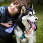 Anna Shulgina Instagram - Сегодня мне исполнилось 30 лет🥳 Несмотря на эту круглую цифру, состоящую из уже какого-то ощутимого жизненного опыта, я продолжаю верить в Людей и Любовь. Мне важно быть полезной для кого-то, ведь это один из тех способов, который приносит настоящее счастье. Сегодня я хочу быть полезной для братьев наших меньших, а именно для породистого хаски Марса , молодой мамы Лисы и трех её щенят (2 девочки и 1 мальчик). Мы с @help_maltese ищем им дом. Если хотите поздравить меня, то лучшим подарком будет репост, чтобы эти красавцы нашли свою семью! ❤️