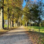 Anna Veith Instagram - the beauty of autumn in Austria is incredible ✨ #timetowalk #outdoors #autumn #beautifultime #livinglife #soakingupthesun
