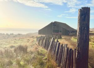 Annabeth Gish Instagram - Two decades ago today, we stood on the rugged and wild cliff-edge of the Sea Ranch Lodge to get married. The sky was exquisitely blue, the temperature a typical Northern Cali October brisk. Friends and family surrounded us, and we said things no one else could hear because the wind carried them out to the sea. Then we had the best party we’ve (still!) ever been to—though how is it our wonderful sons weren’t there!?! Twenty years later, to return and stand on the same ground is humbling. The elements have not changed in their persistence. The barn is more weathered, the coastline more ocean-carved, and windswept. Lol, so are we. Life works hard on us all. But what a brilliant adventure! What gratitude lives in our hearts. Happy Anniversary @donutshoppeproductions