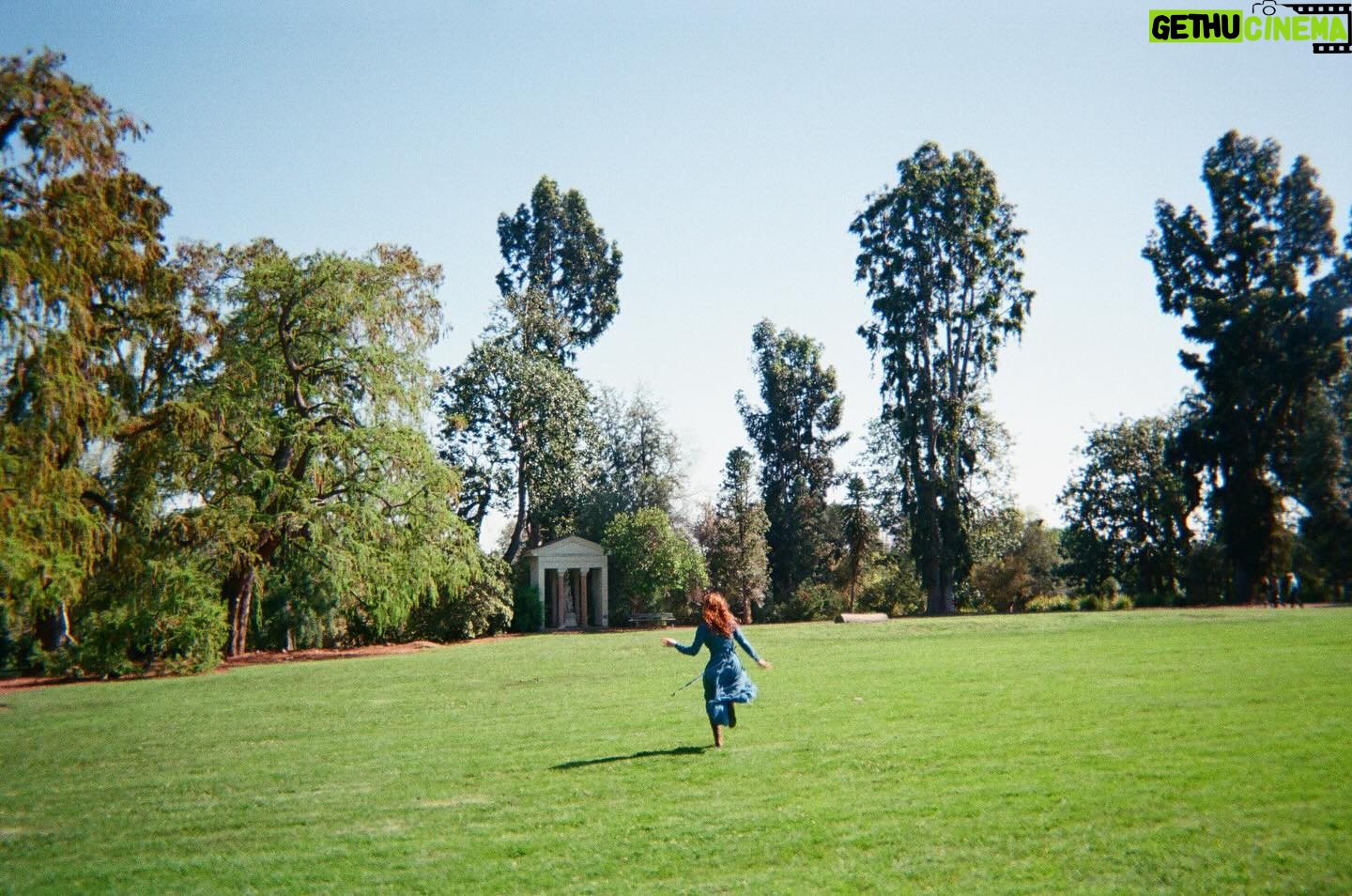 Annalise Basso Instagram - swipe for vegetation, bird noises, and frolicking.