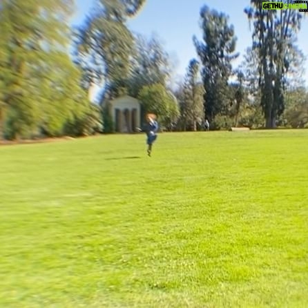 Annalise Basso Instagram - swipe for vegetation, bird noises, and frolicking.