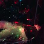 Annalise Basso Instagram - 가고파 karaoke