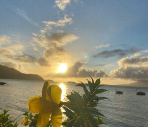 Anne Décis Instagram - Merci les Saintes💙

15 premiers jours sous le feu et dans l’eau, à découvrir, douter, courir, partager, travailler et beaucoup rire. 

Lundi…3ème semaine⭐️

@eloaprod #LFDS