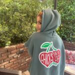 Anneliese van der Pol Instagram - Thanks for the swag @chicksintheoffice . 💚