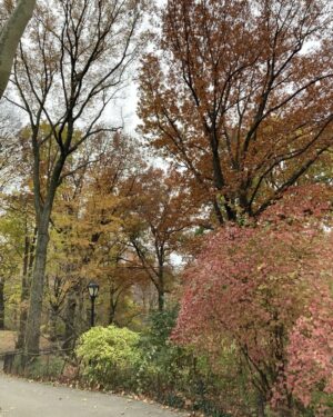 Annette O'Toole Instagram - I am never happier than in Central Park in the Fall.