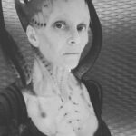 Annie Wersching Instagram - One week. 💚👽🛸👾👑 #StarTrekPicard 3/3/22 #BorgQueen @paramountplus @startrekonpplus