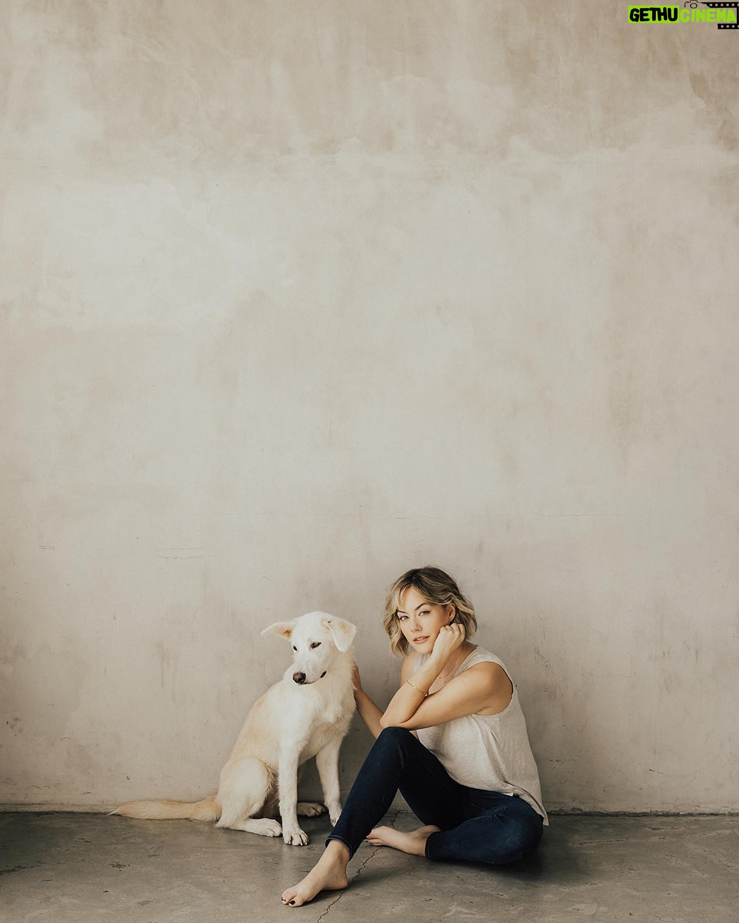 Annika Noelle - 6.6K Likes - Introducing my Huckleberry š«
After a long search this lilā monster came into my life thanks to @lifeanimalrescue. He has been a bright light during a difficult year and is a beautiful reminder that family can be chosen. It can be nurtured and grown. And love can never be lost because it is within us always - we just have to choose it. I thought I knew what my future would look like, turns out itās even brighter now in the absence of what I thought I wanted. I found meā¦And then I found my Huckleberry.
Now we are both free. š
Thank you again to Emily for bringing him into my life and @heirlumephotography for capturing these moments.
šāā¬: @theburritomankitty approves this message