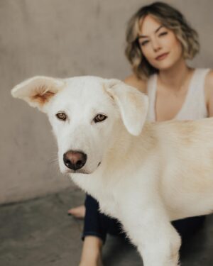 Annika Noelle Instagram - Introducing my Huckleberry 🫐

After a long search this lil’ monster came into my life thanks to @lifeanimalrescue. He has been a bright light during a difficult year and is a beautiful reminder that family can be chosen. It can be nurtured and grown. And love can never be lost because it is within us always - we just have to choose it. I thought I knew what my future would look like, turns out it’s even brighter now in the absence of what I thought I wanted. I found me…And then I found my Huckleberry. 
Now we are both free. 💕

Thank you again to Emily for bringing him into my life and @heirlumephotography for capturing these moments. 

🐈‍⬛: @theburritomankitty approves this message