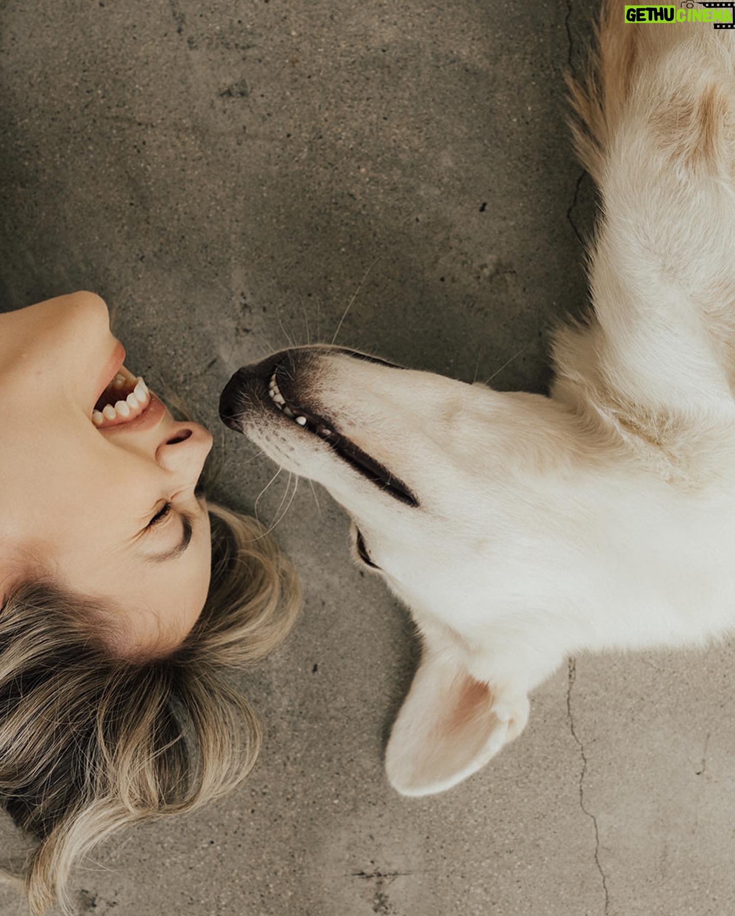 Annika Noelle - 6.6K Likes - Introducing my Huckleberry š«
After a long search this lilā monster came into my life thanks to @lifeanimalrescue. He has been a bright light during a difficult year and is a beautiful reminder that family can be chosen. It can be nurtured and grown. And love can never be lost because it is within us always - we just have to choose it. I thought I knew what my future would look like, turns out itās even brighter now in the absence of what I thought I wanted. I found meā¦And then I found my Huckleberry.
Now we are both free. š
Thank you again to Emily for bringing him into my life and @heirlumephotography for capturing these moments.
šāā¬: @theburritomankitty approves this message