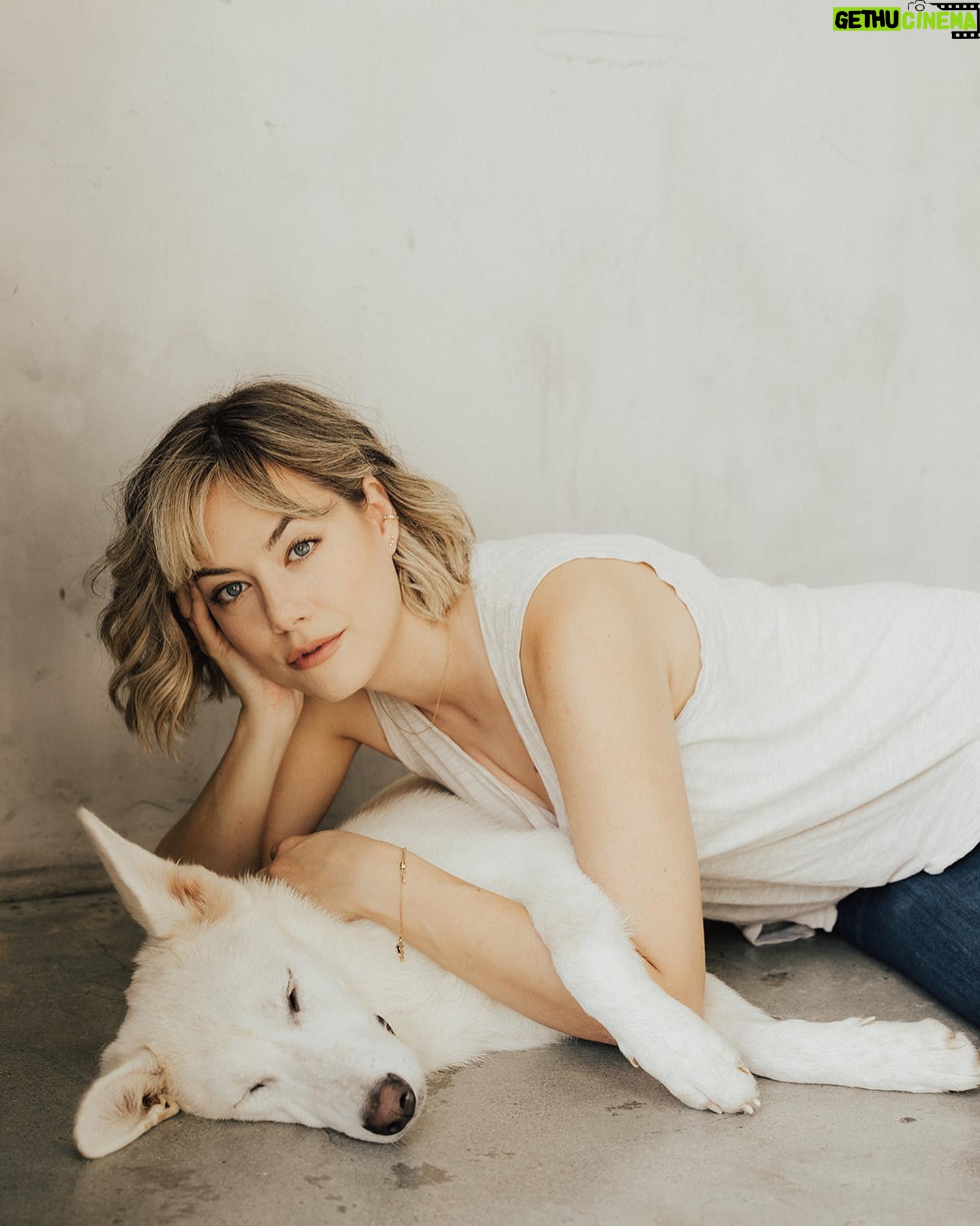 Annika Noelle - 6.6K Likes - Introducing my Huckleberry š«
After a long search this lilā monster came into my life thanks to @lifeanimalrescue. He has been a bright light during a difficult year and is a beautiful reminder that family can be chosen. It can be nurtured and grown. And love can never be lost because it is within us always - we just have to choose it. I thought I knew what my future would look like, turns out itās even brighter now in the absence of what I thought I wanted. I found meā¦And then I found my Huckleberry.
Now we are both free. š
Thank you again to Emily for bringing him into my life and @heirlumephotography for capturing these moments.
šāā¬: @theburritomankitty approves this message