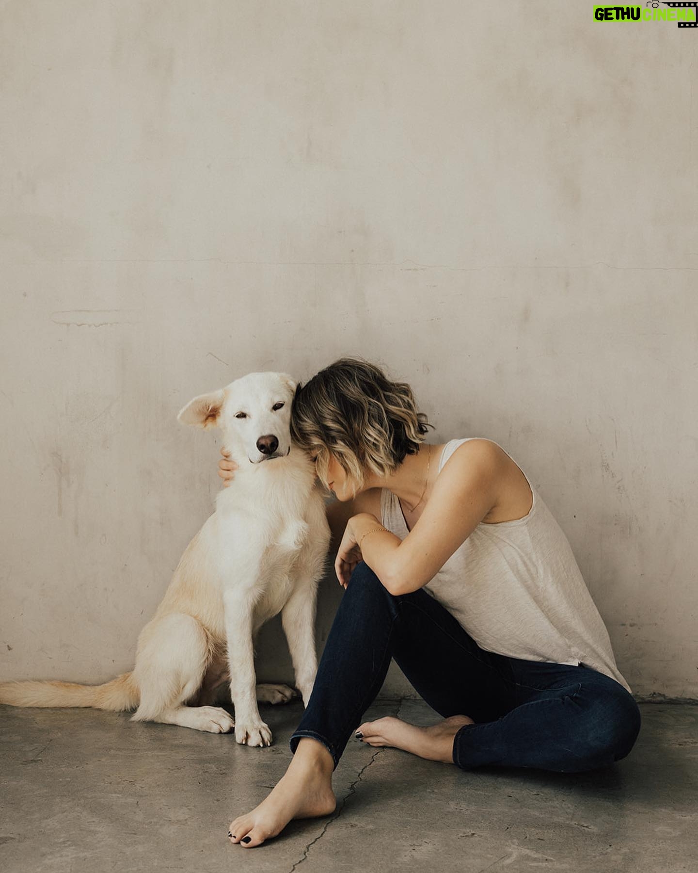 Annika Noelle - 6.6K Likes - Introducing my Huckleberry š«
After a long search this lilā monster came into my life thanks to @lifeanimalrescue. He has been a bright light during a difficult year and is a beautiful reminder that family can be chosen. It can be nurtured and grown. And love can never be lost because it is within us always - we just have to choose it. I thought I knew what my future would look like, turns out itās even brighter now in the absence of what I thought I wanted. I found meā¦And then I found my Huckleberry.
Now we are both free. š
Thank you again to Emily for bringing him into my life and @heirlumephotography for capturing these moments.
šāā¬: @theburritomankitty approves this message