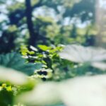 Anousha Instagram - June’s photo dump✨ ماه جون✨