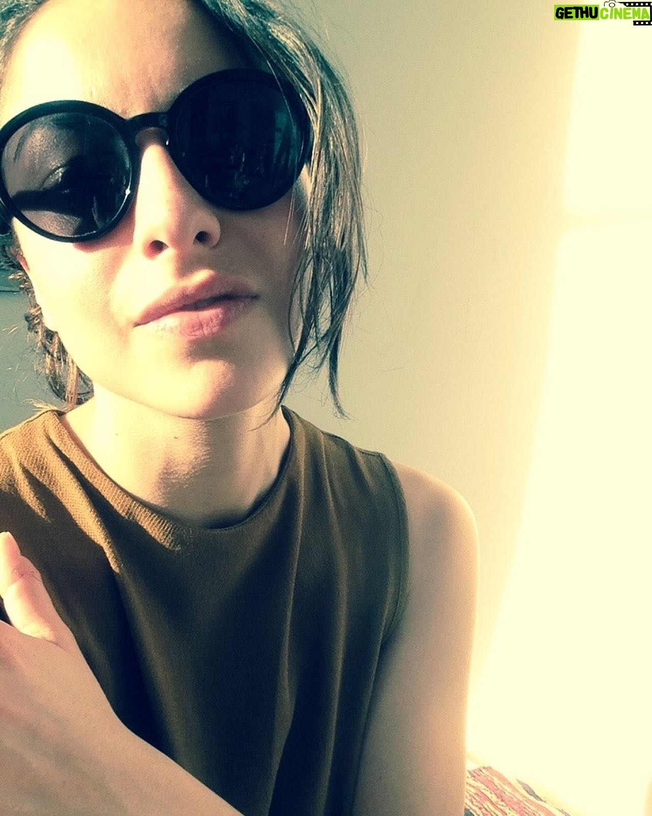 Antonia Giesen Instagram - Sus variedades.