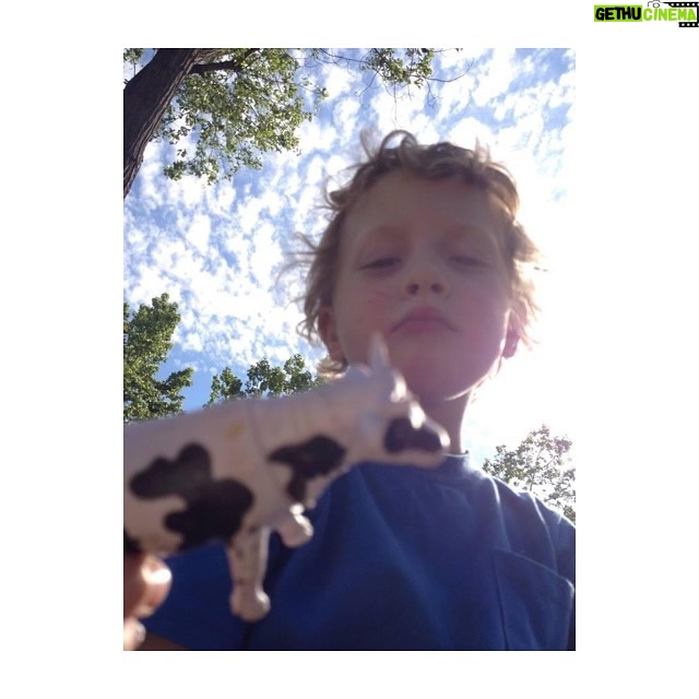 Antonia Giesen Instagram - Entre bocas y vacas, escenarios, diarios, garabatos y pelos.