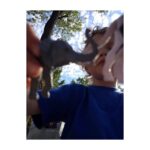 Antonia Giesen Instagram - Entre bocas y vacas, escenarios, diarios, garabatos y pelos.